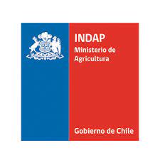logo INDAP